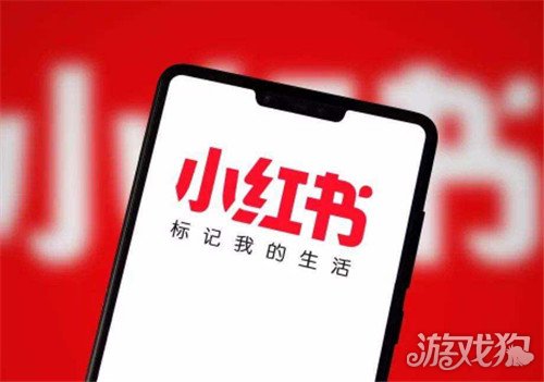 M6米乐手机登录APP入口seo最新优化